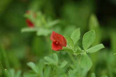 BUITEN BEELD Foto: 325958