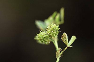 BUITEN BEELD Foto: 325967