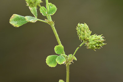 BUITEN BEELD Foto: 325969