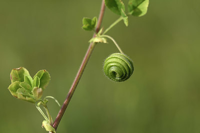 BUITEN BEELD Foto: 325997