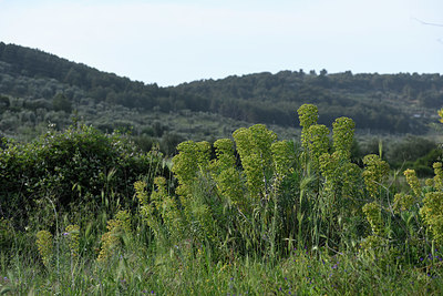 BUITEN BEELD Foto: 326003