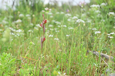 BUITEN BEELD Foto: 326004