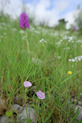BUITEN BEELD Foto: 326008
