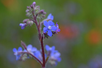 BUITEN BEELD Foto: 326016