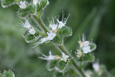 BUITEN BEELD Foto: 326031