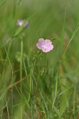 BUITEN BEELD Foto: 326041