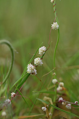 BUITEN BEELD Foto: 326045