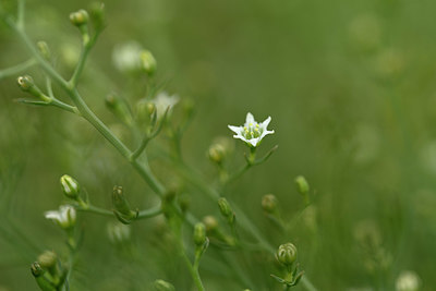 BUITEN BEELD Foto: 326050