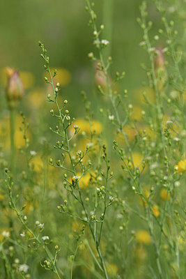 BUITEN BEELD Foto: 326053