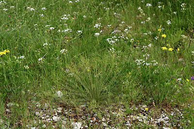 BUITEN BEELD Foto: 326055
