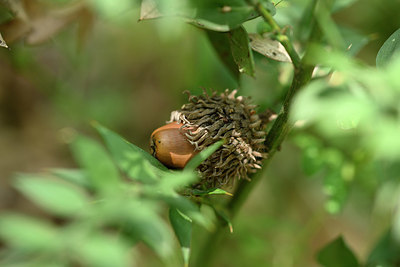 BUITEN BEELD Foto: 326058