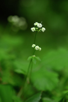 BUITEN BEELD Foto: 326071