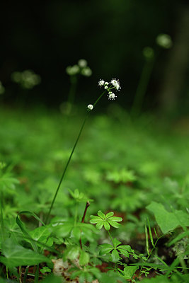 BUITEN BEELD Foto: 326072