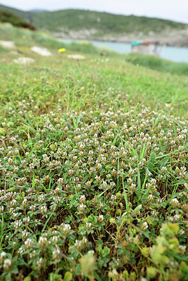 BUITEN BEELD Foto: 326083