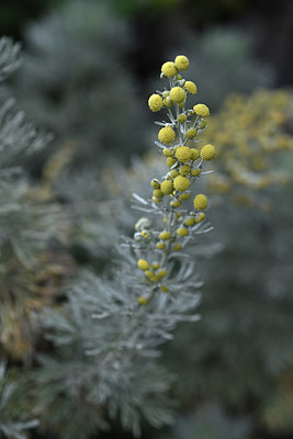 BUITEN BEELD Foto: 326136