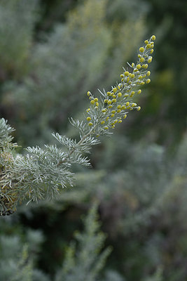 BUITEN BEELD Foto: 326137