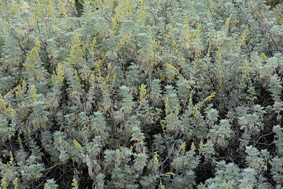 BUITEN BEELD Foto: 326138