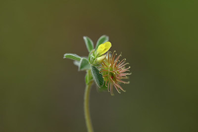 BUITEN BEELD Foto: 326161