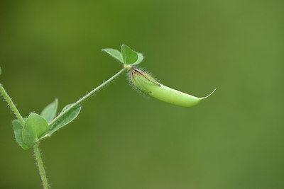 BUITEN BEELD Foto: 326164