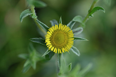 BUITEN BEELD Foto: 326207