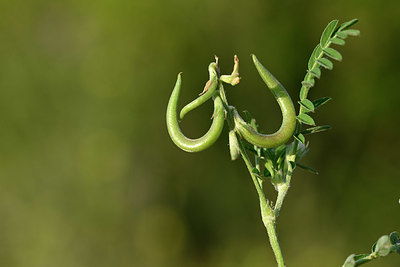 BUITEN BEELD Foto: 326209