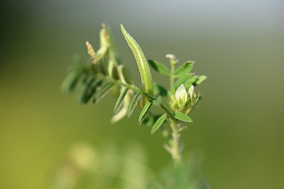 BUITEN BEELD Foto: 326210