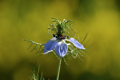 BUITEN BEELD Foto: 326221