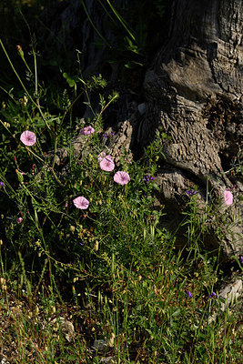 BUITEN BEELD Foto: 326229