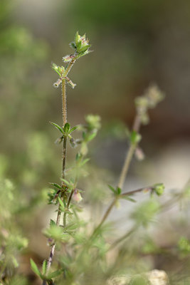 BUITEN BEELD Foto: 326245