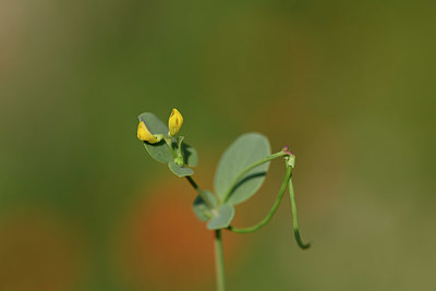 BUITEN BEELD Foto: 326247