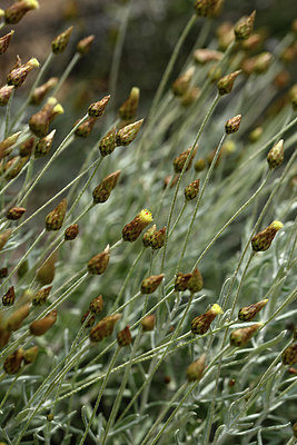 BUITEN BEELD Foto: 326265