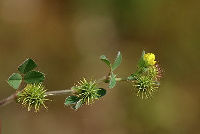 BUITEN BEELD Foto: 326268