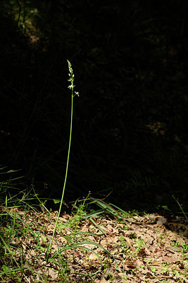 BUITEN BEELD Foto: 326282
