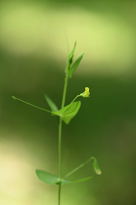 BUITEN BEELD Foto: 326284