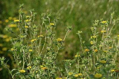 BUITEN BEELD Foto: 326324