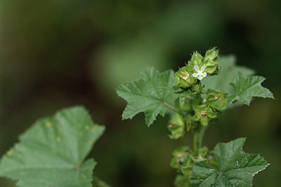BUITEN BEELD Foto: 326336