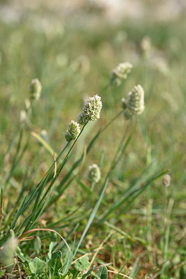 BUITEN BEELD Foto: 326349
