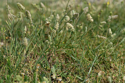BUITEN BEELD Foto: 326350