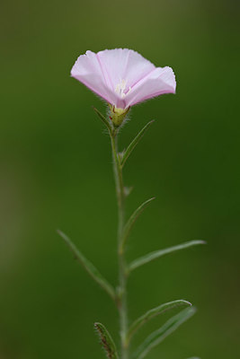 BUITEN BEELD Foto: 326416