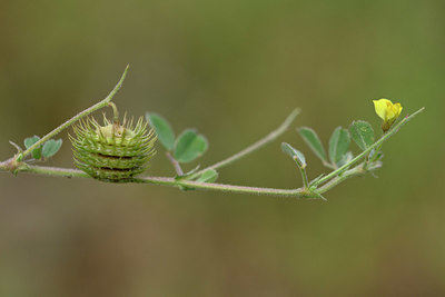BUITEN BEELD Foto: 326419