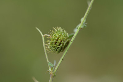 BUITEN BEELD Foto: 326420