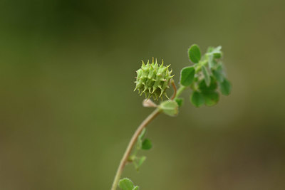 BUITEN BEELD Foto: 326428