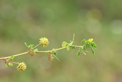 BUITEN BEELD Foto: 326430