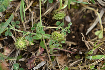 BUITEN BEELD Foto: 326435