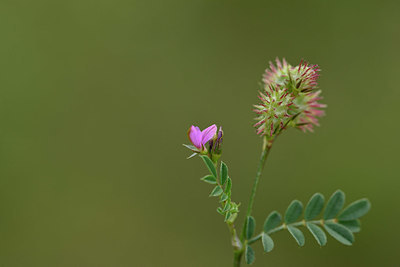 BUITEN BEELD Foto: 326437