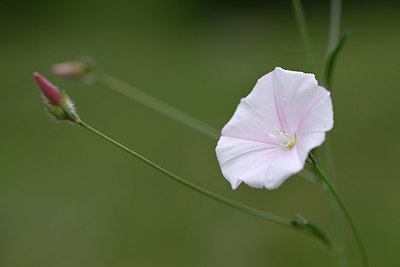 BUITEN BEELD Foto: 326441