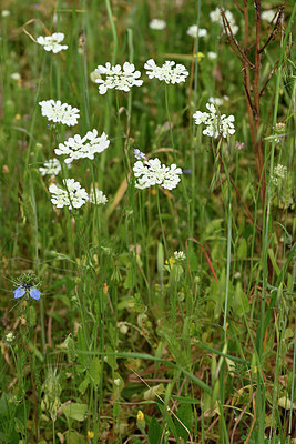 BUITEN BEELD Foto: 326481
