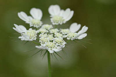 BUITEN BEELD Foto: 326482