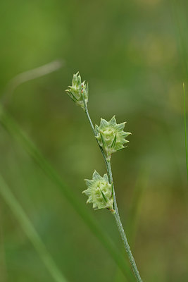 BUITEN BEELD Foto: 326492