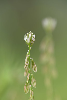 BUITEN BEELD Foto: 326514